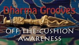 Off-the-Cushion Dharma Practice