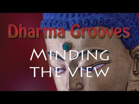 Buddha head with "Dharma Grooves" text