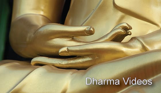 Golden Buddha statue hands in meditation pose.