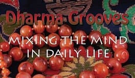 Beads with text "Dharma Grooves" overlay.