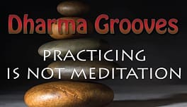 Stacked stones with "Dharma Grooves" text.