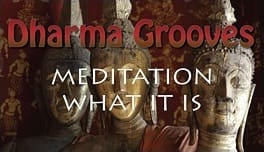 Buddha statues with "Dharma Grooves" text overlay.