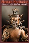 Ornate bronze Buddha on meditation book cover