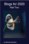 Book cover with white curled flower on blue