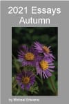 Purple asters with yellow centers on cover