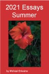 Book cover with red hibiscus flower