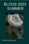 White morning glory flower on book cover