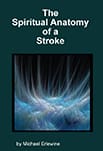 Book cover: The Spiritual Anatomy of a Stroke