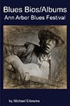 Book cover: blues guitarist performing at festival