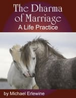 Book cover showing two horses nuzzling