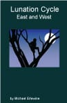 Book cover with silhouetted branch and moon