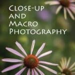 2015 Camera Lens Blogs