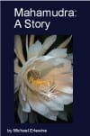 White blooming flower on dark blue book cover