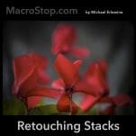 Close-up red flower petals with dark background