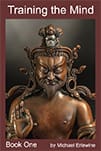 Wrathful Buddhist deity statue on book cover