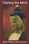 Golden Buddha head statue on book cover