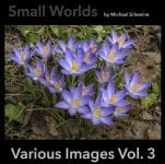 Book cover with purple flowers and title