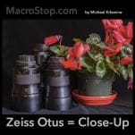 Zeiss Otus lenses beside potted red flowers