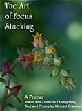 Book cover with flowering plant on green background
