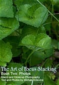 Book cover showing close-up green leaves