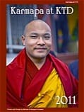 Smiling Buddhist monk in red and yellow robes