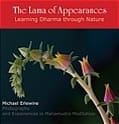 Book cover showing flowering plant close-up