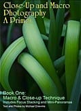 Book cover: macro close-up of green leaves