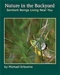 Book cover showing dragonfly on green plant