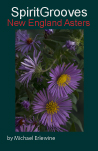 Asters-Cover-151