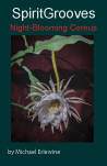 Night-Blooming-Cereus-151