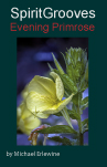 Primrose-Cover151
