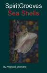 Sea-Shells-Cover-151