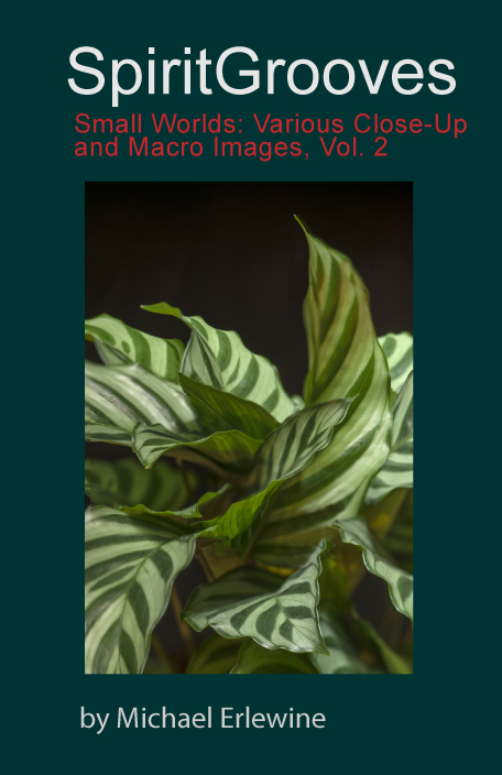 Small Worlds: Various Close-Up and Macro Images, Vol. 2