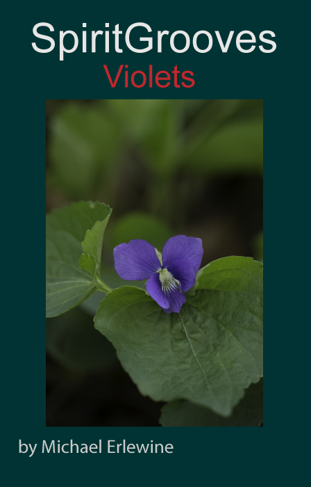 Violets-Cover151