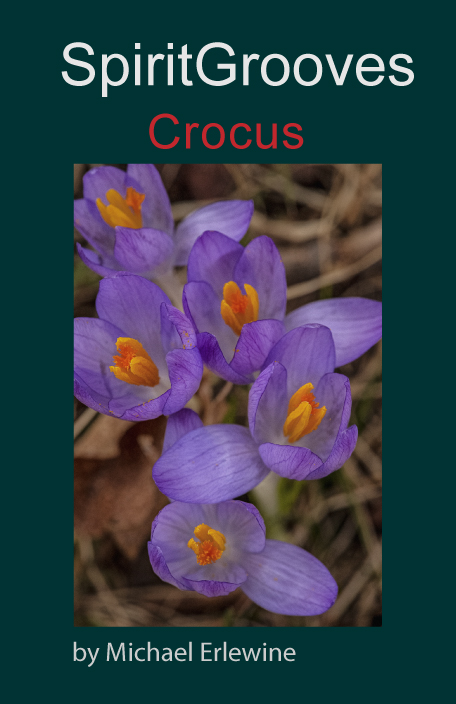 Crocus