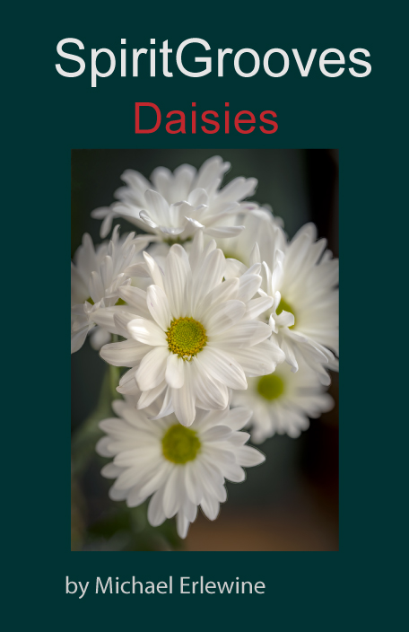 Dasies