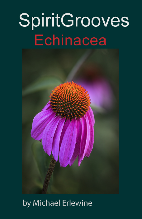 Echinacea
