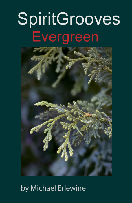 Evergreen