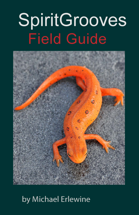 Field Guide