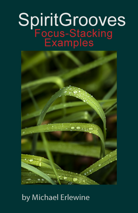Focus-Stacking Examples in Macro Photography