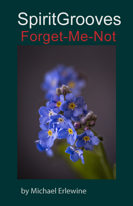 Forget-Me-Not