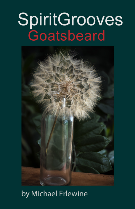 Goatsbeard