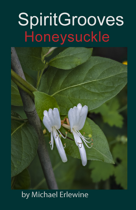 Honeysuckle