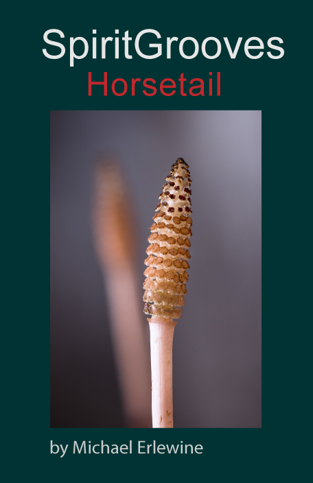 Horsetail
