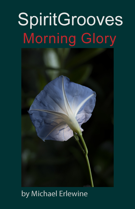 Morning Glory