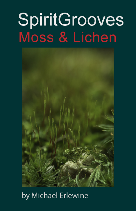 Moss and Lichens