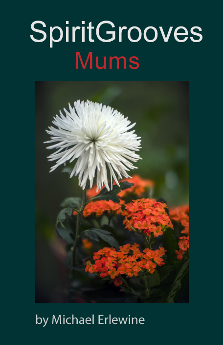 Mums