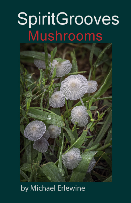 Mushrooms