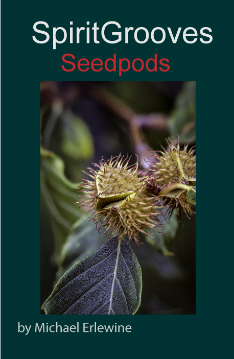 Seed Pods